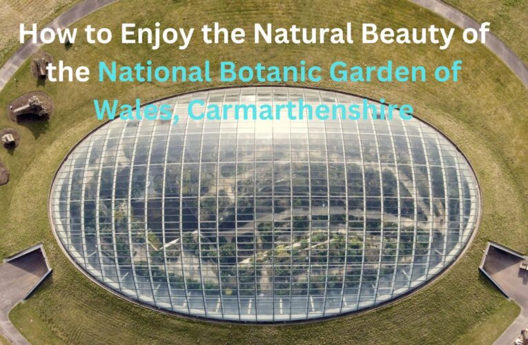 How to Enjoy the Natural Beauty of the National Botanic Garden of Wales, Carmarthenshire